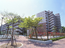Albis Maebara
