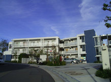 Comfort Shinohara