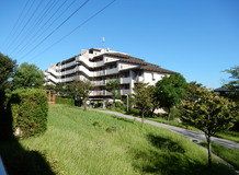 Comfort Kitahara