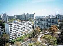 Konandai  Kamome